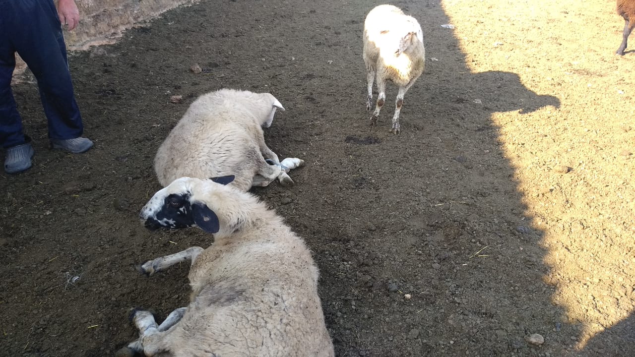 IMG 20180824 WA0023