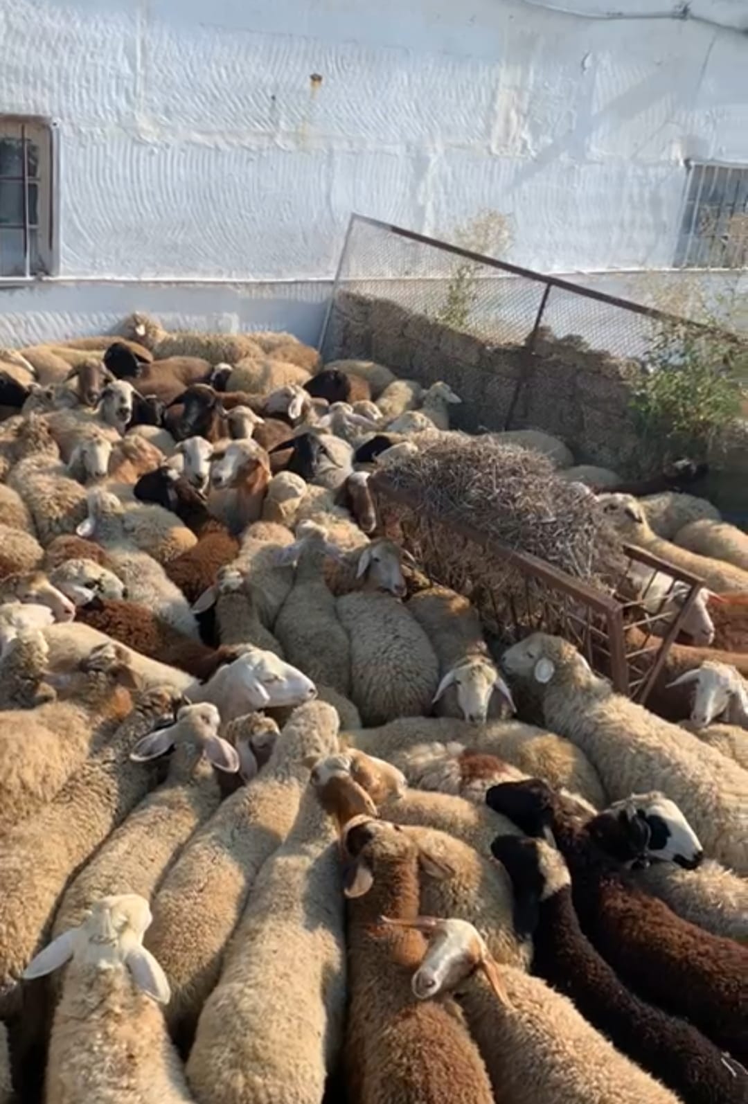 WhatsApp Image 2021 07 22 at 13.26.05 1