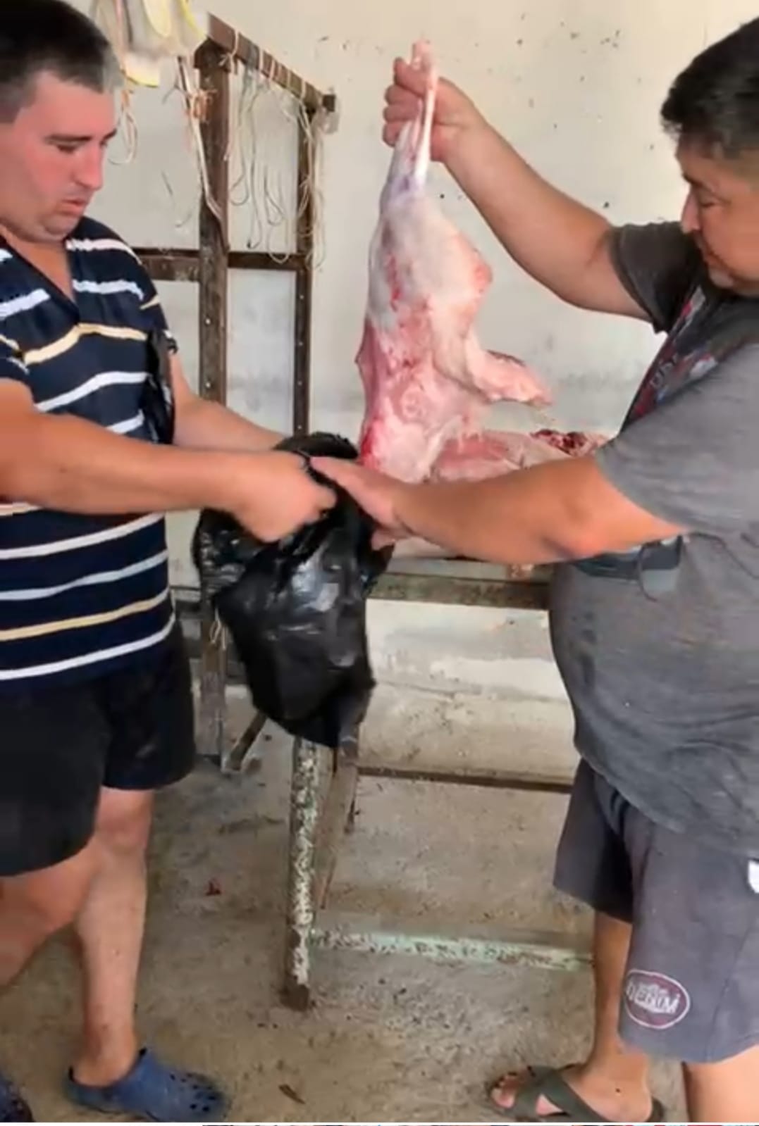 WhatsApp Image 2021 07 22 at 13.26.06